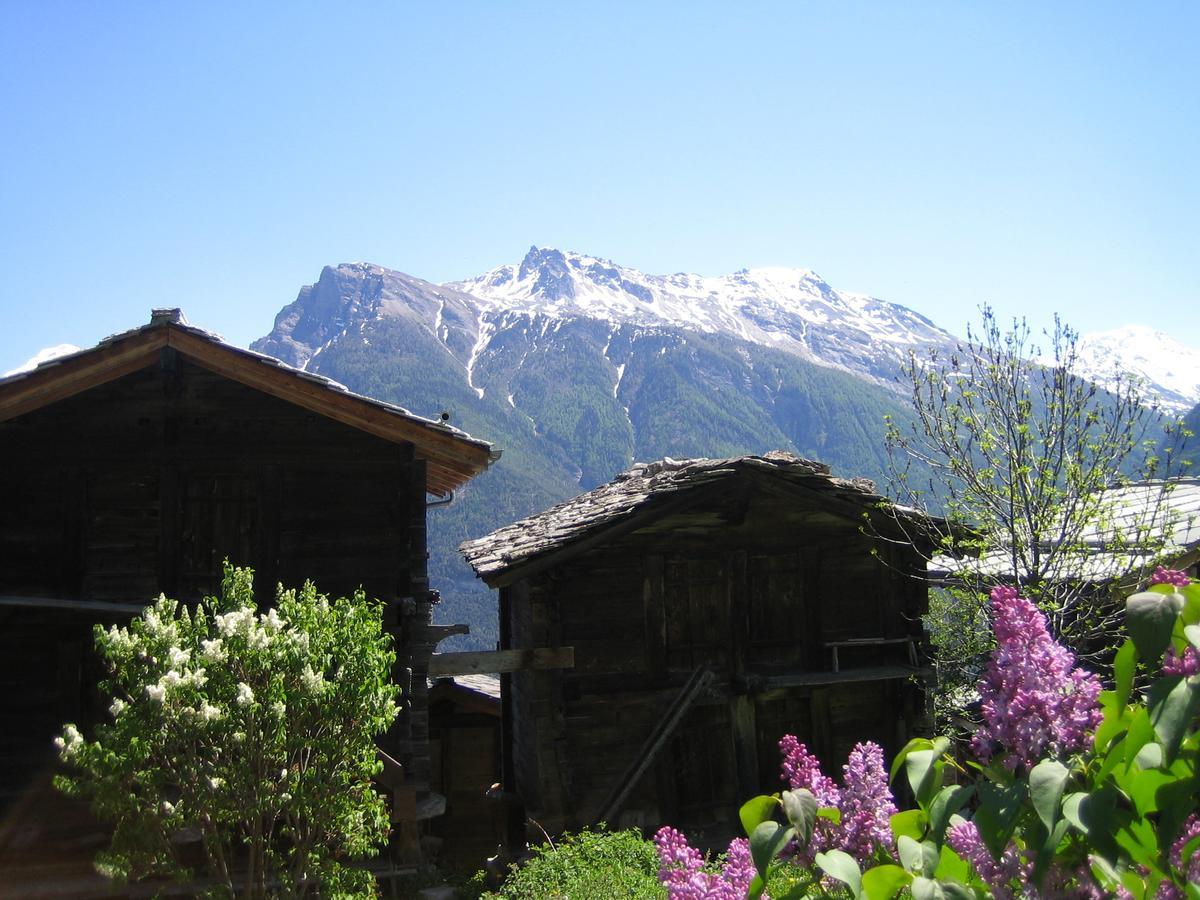 Ferienwohnung Bergquell Haus D Blatten bei Naters Exterior foto